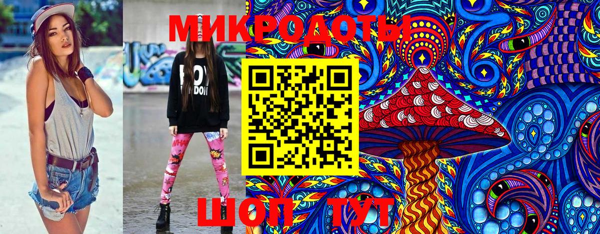 Галлюциногенные грибы Psilocybine cubensis Батайск