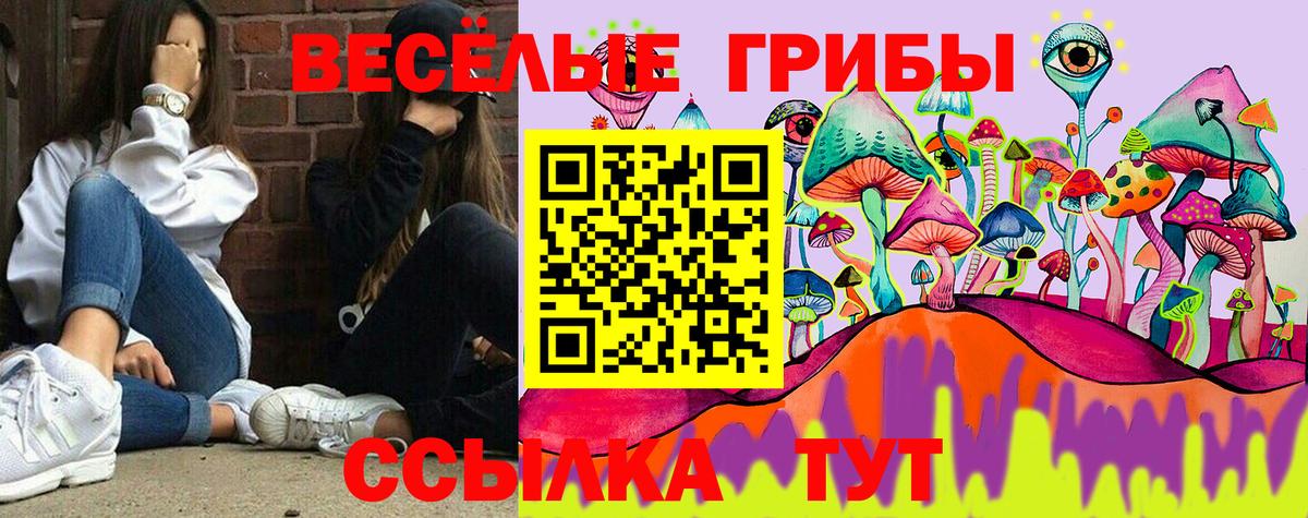 Галлюциногенные грибы прущие грибы  Вход с VPN  где найти   Галлюциногенные грибы MAGIC MUSHROOMS  Батайск 